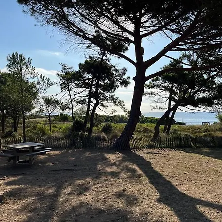 Vue Mer, Mas T3 De 60m2, Nartelle - Sardinaux * 생트막시메