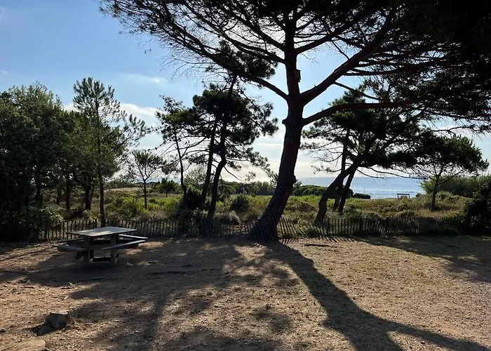 Vue Mer, Mas T3 De 60m2, Nartelle - Sardinaux * Sainte-Maxime